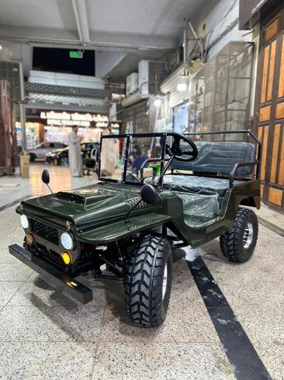 صورة سيارة سفاري جيب ميني بنزين 2025